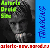 Asterix Druid Site